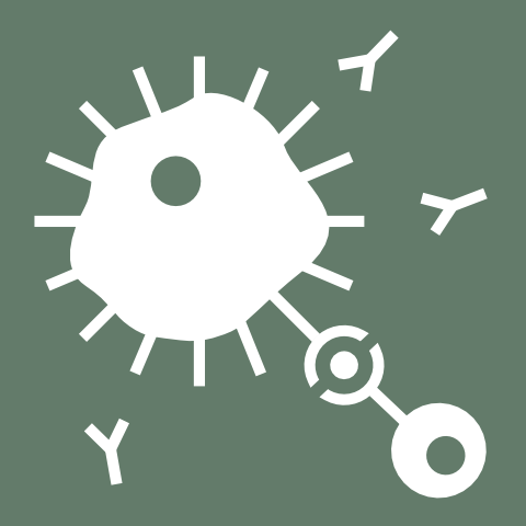 Cancer Immunotherapy